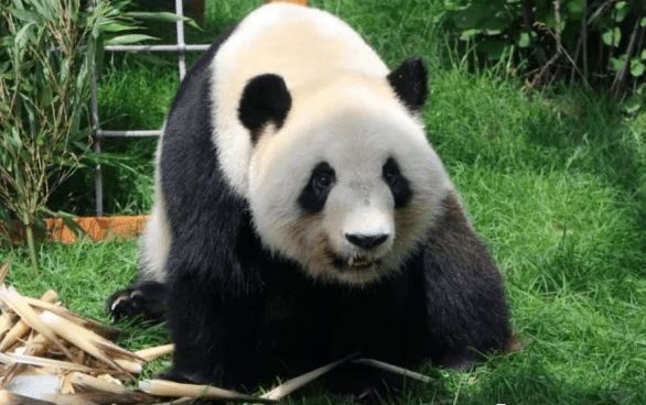 开云 开云体育官网放假不出省 内蒙古赏秋游玩好去处！秋高气爽带着家人出发吧(图24)