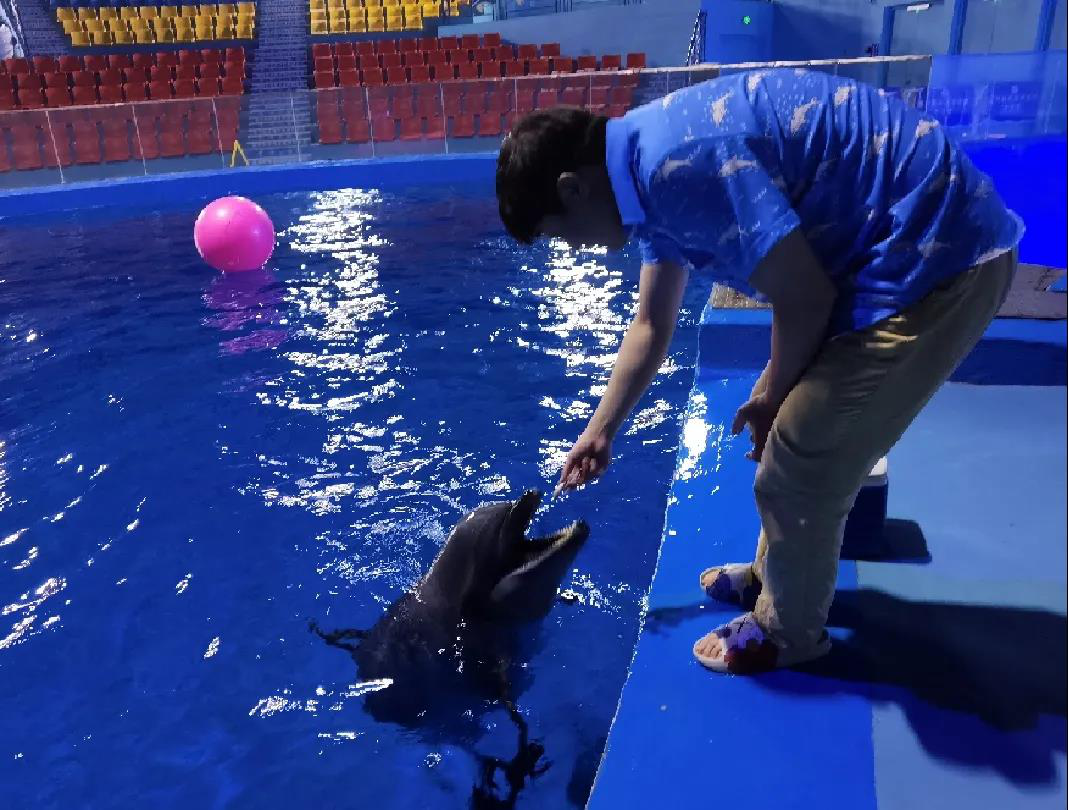 做海洋动物驯养师是种什么体验？温州帅小伙成了操碎心的“老父亲”开云 开云体育官网(图3)