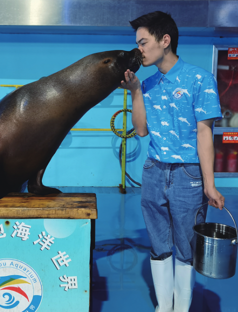 做海洋动物驯养师是种什么体验？温州帅小伙成了操碎心的“老父亲”开云 开云体育官网(图6)