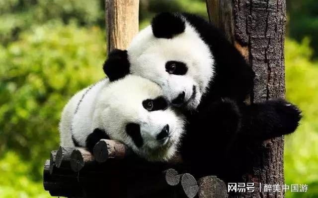 探访太原动物园珍稀动物种类繁多令人目不暇接适合亲子游玩Kaiyun 开云(图2)