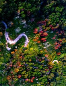 全球十佳开云 开云体育可近距离观赏野生动物旅游胜地推荐（图）(图1)