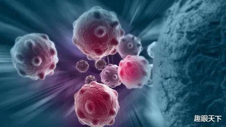 彻底抵御新冠病毒曙光乍现？科开云体育 开云平台学家首次发现有生物专吃病毒(图2)