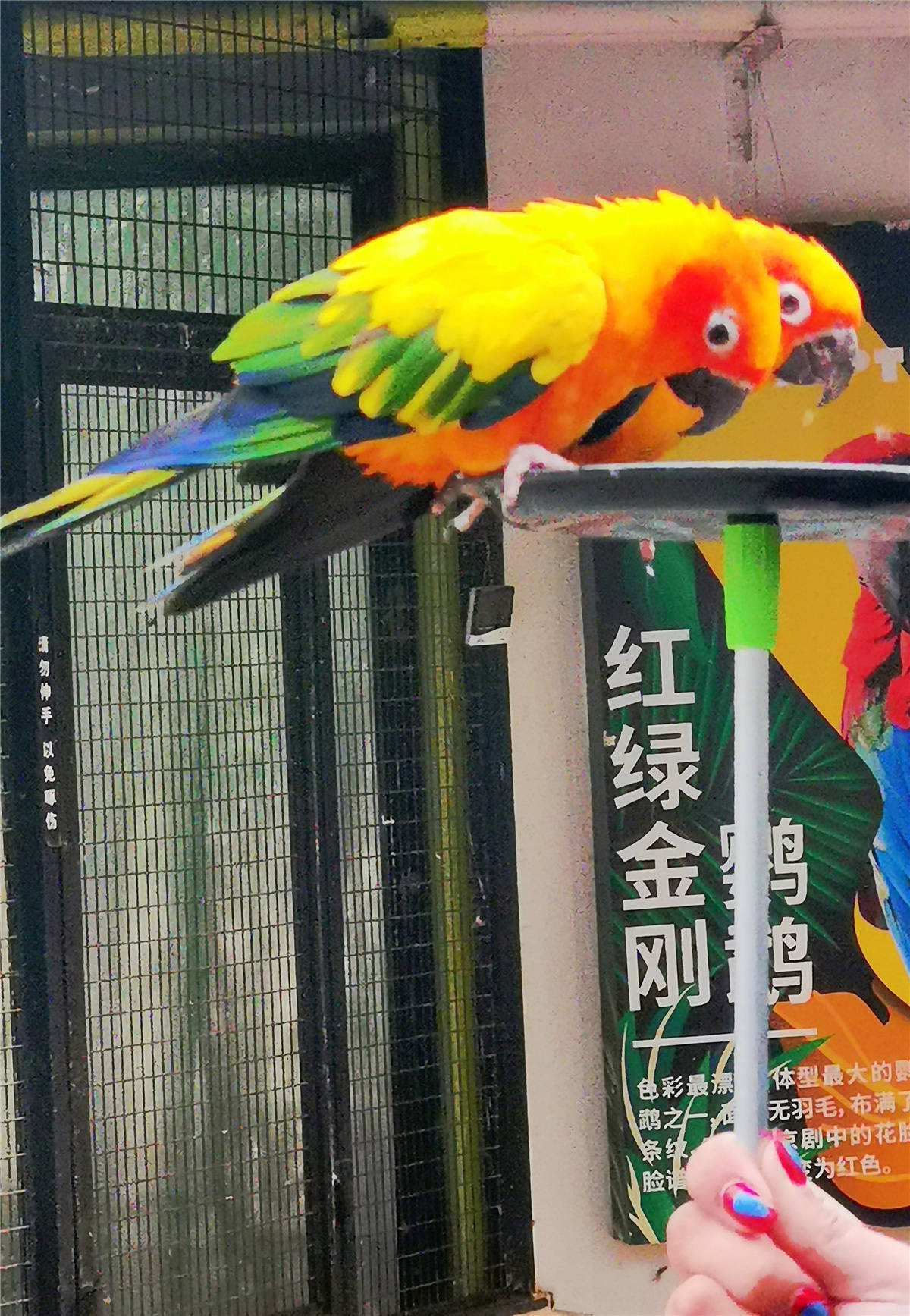 多重体验野生动物园全方位立体观赏带给你不一样的感觉开云体育 开云平台(图4)