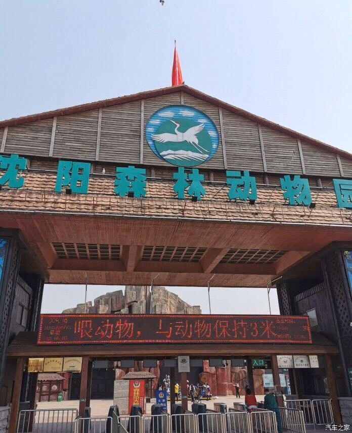 观开云 开云体育赏稀有野生动物尽在森林动物园(图11)