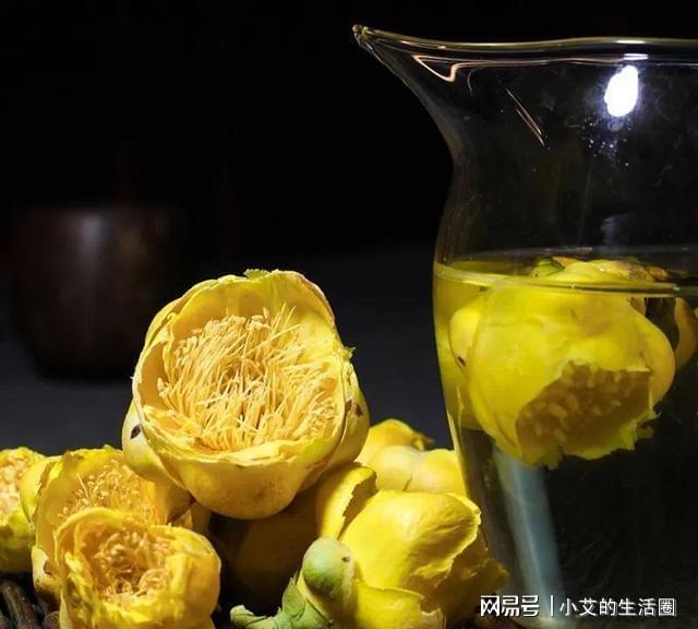 开云 开云体育官网它是植物界的金丝猴花色金黄喜庆营养丰富观赏食用都不错(图5)
