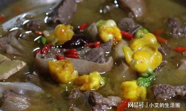 开云 开云体育官网它是植物界的金丝猴花色金黄喜庆营养丰富观赏食用都不错(图9)