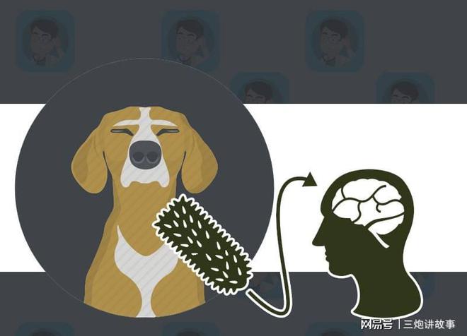 患狂犬病处于脑死亡：万一被狗咬伤第一件事要做却不是打疫苗？开云 开云体育(图5)