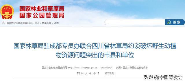 Kaiyun 开云保护野生动植物资源国林草联合四川省林草局约谈有关市县和单位(图1)