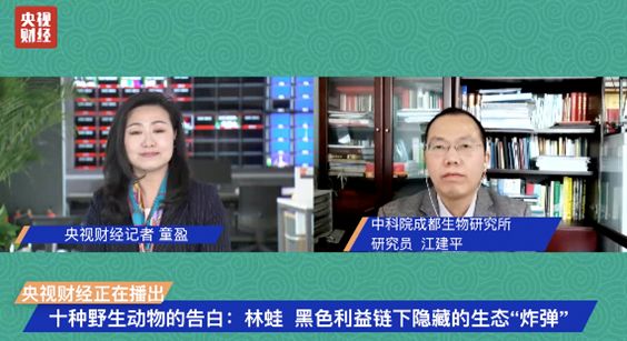 开云 开云体育别吃了！它是生态系统中的基石物种却被人“毁灭性”利用…(图1)