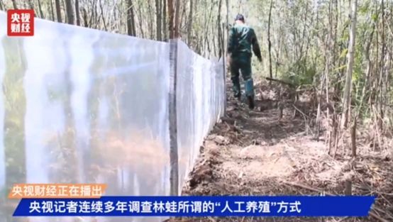 开云 开云体育别吃了！它是生态系统中的基石物种却被人“毁灭性”利用…(图3)