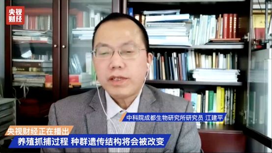 开云 开云体育别吃了！它是生态系统中的基石物种却被人“毁灭性”利用…(图5)