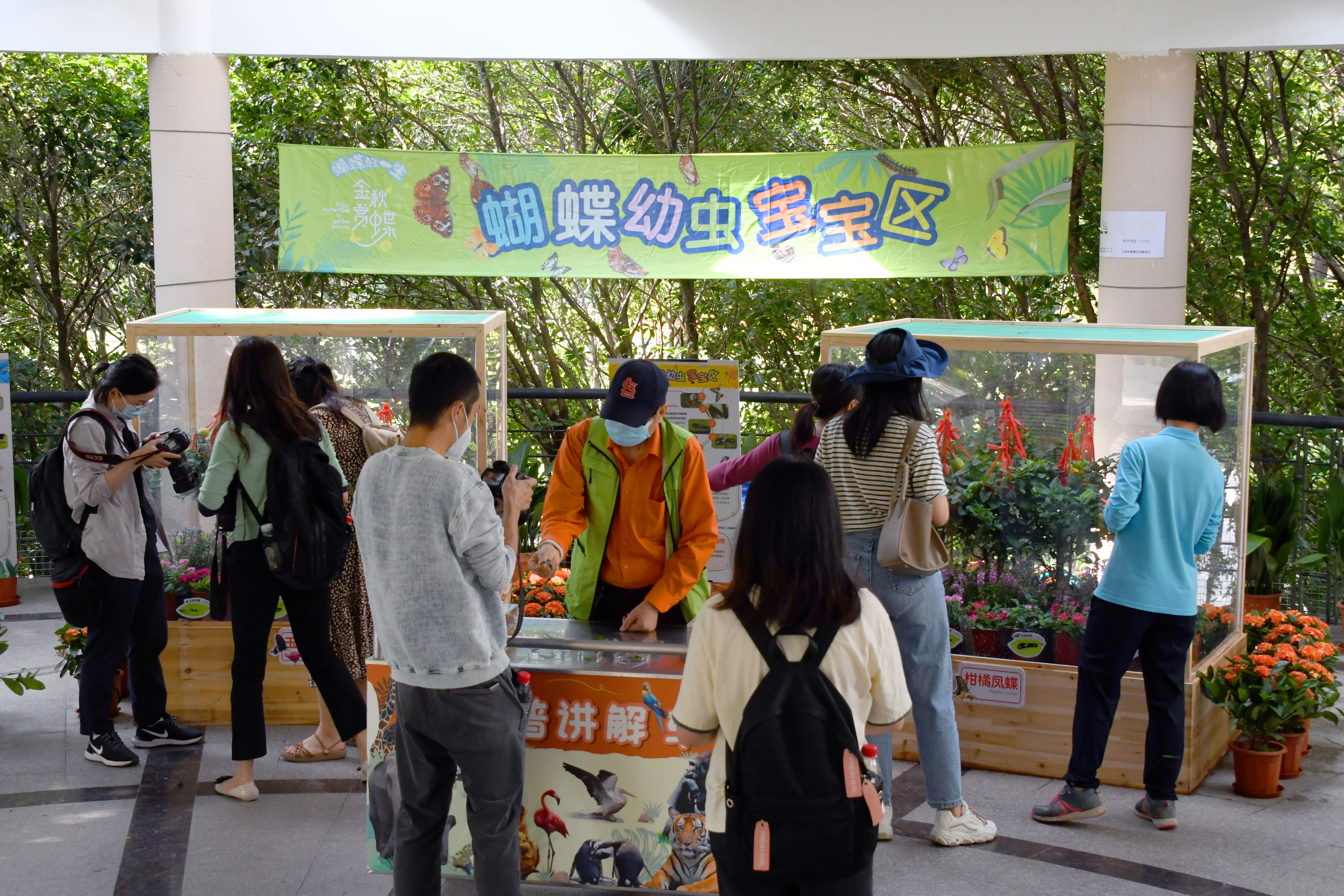 开云体育 kaiyun.com 官网入口在上海动物园观赏蝴蝶之美、自然之趣(图2)