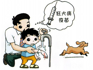 2020年被狗咬伤如何索要赔偿？被狗咬伤饲养人开云体育 开云平台负什么责任？(图1)