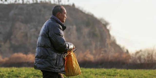 开云 开云体育官网山西老人将国家保护动物当凤凰养4年超过40只到底是啥动物？(图12)