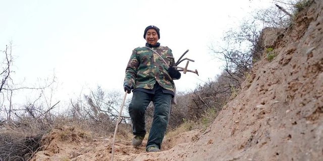 开云 开云体育官网山西老人将国家保护动物当凤凰养4年超过40只到底是啥动物？(图13)