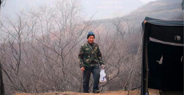 开云 开云体育官网山西老人将国家保护动物当凤凰养4年超过40只到底是啥动物？(图14)