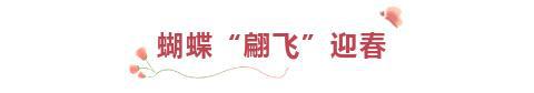 Kaiyun 开云新春走基层丨买年花到金石！“蝴蝶”温室翩飞“动物”园中遍布(图1)