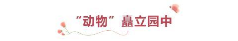 Kaiyun 开云新春走基层丨买年花到金石！“蝴蝶”温室翩飞“动物”园中遍布(图5)