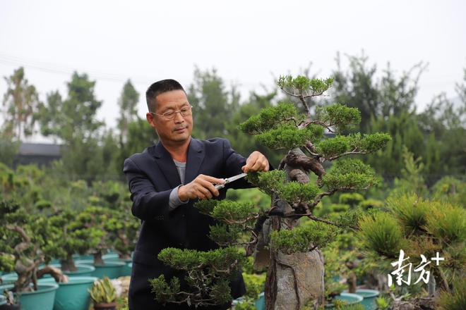 Kaiyun 开云新春走基层丨买年花到金石！“蝴蝶”温室翩飞“动物”园中遍布(图7)