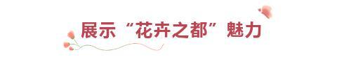 Kaiyun 开云新春走基层丨买年花到金石！“蝴蝶”温室翩飞“动物”园中遍布(图8)