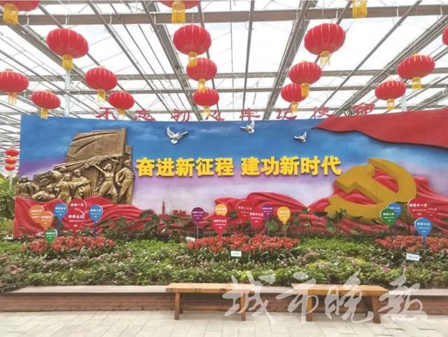 开幕！长春又一好去开云 开云体育APP处！(图3)