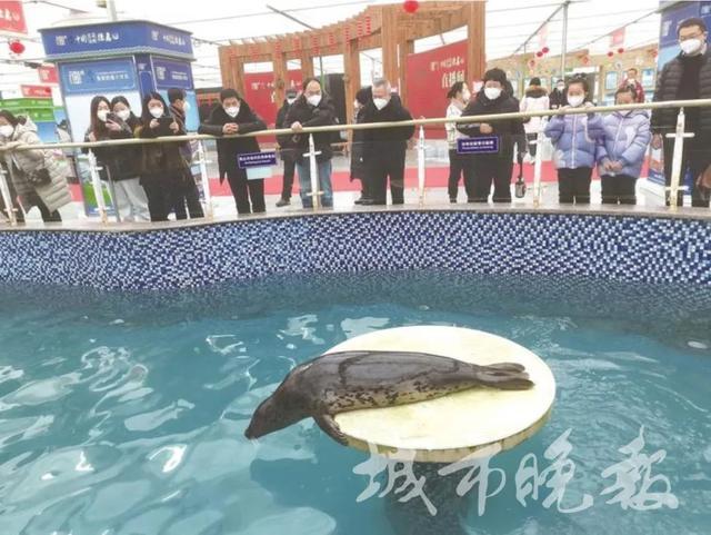 开幕！长春又一好去开云 开云体育APP处！(图1)