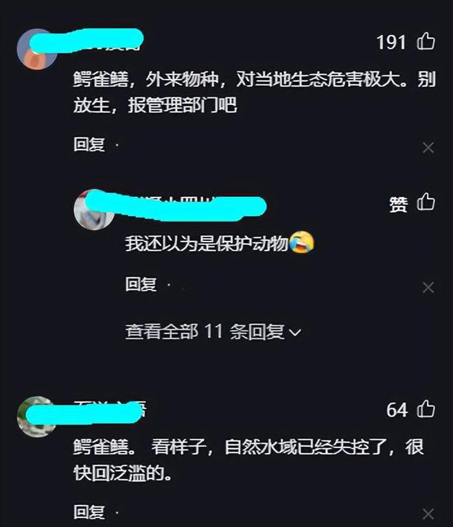 开云体育 Kaiyun.com 官网入口鳄雀鳝？宁波男子大河钓鱼发现“未知水族”尝试数次后将它锚起(图7)