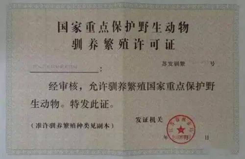 快查丨你养的开云APP 开云官网入口宠物合法吗?一男子拘120天罚款3000!(图1) 快查丨你养的开云APP 开云官网入口宠物合法吗?一男子拘120天罚款3000!(图1)