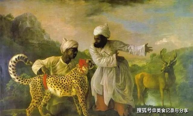 亚洲猎豹为何有个“猎”字？比狗还容易驯服成为它灭开云 开云体育平台绝根源(图3)