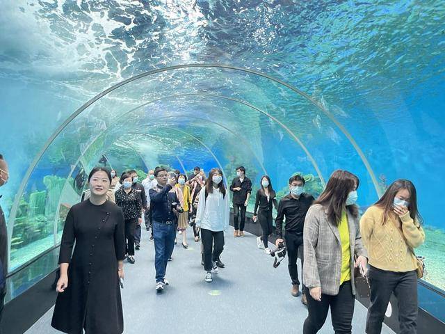 泉州高质量发展海丝开云 开云体育官网文旅产业：保护海洋生物 共建人与动物和谐共处的世界旅游目的地(图1)