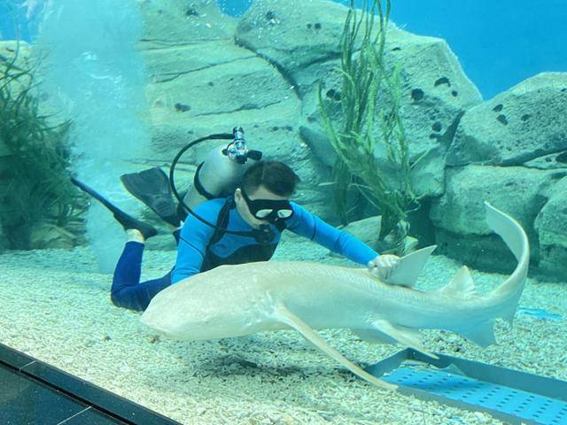 泉州高质量发展海丝开云 开云体育官网文旅产业：保护海洋生物 共建人与动物和谐共处的世界旅游目的地(图2)