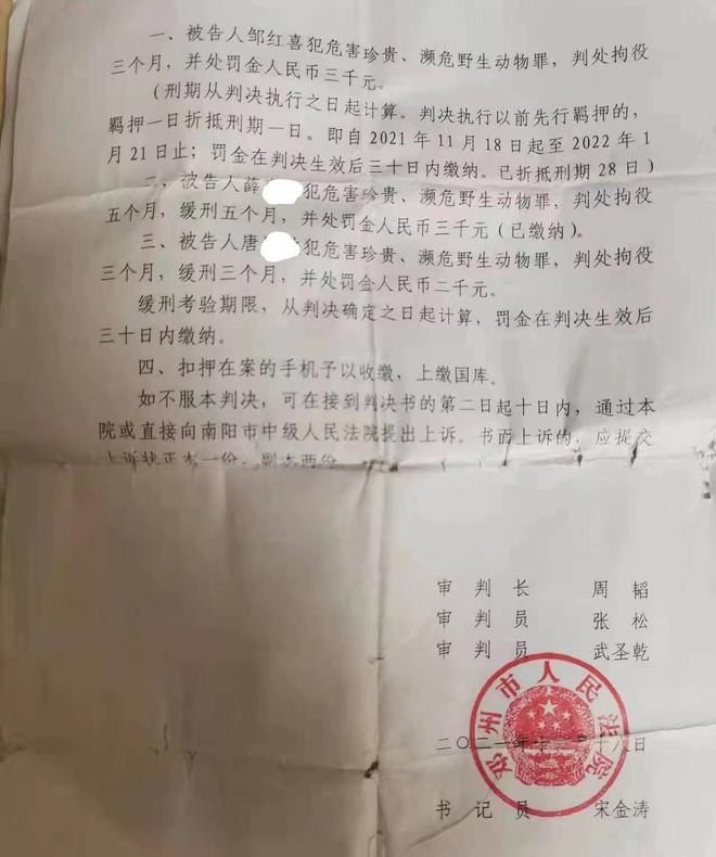 Kaiyun 开云因交易一只和尚鹦鹉南阳三男子获罪再审发回重审后检方撤诉(图3)