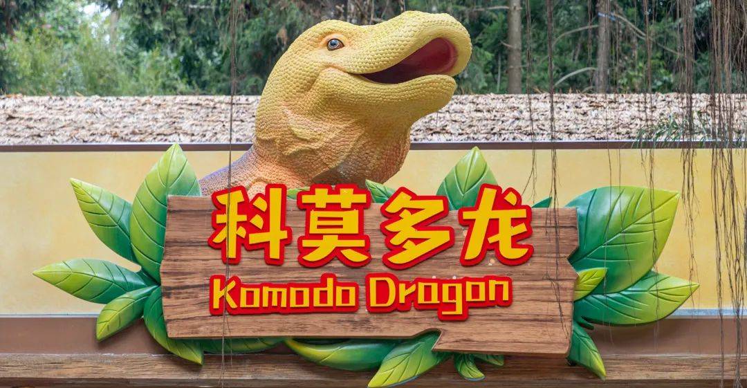 2024广州长隆野生动物世界免票政策+游玩攻略+导览开云 开云体育官网图(图4)