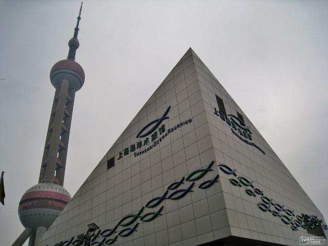 上海开云体育 Kaiyun.com 官网入口海洋水族馆的海底世界不错来这看稀有水生生物(图5)