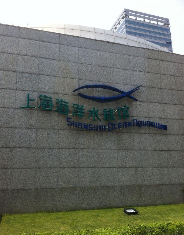 上海开云体育 Kaiyun.com 官网入口海洋水族馆的海底世界不错来这看稀有水生生物(图3)