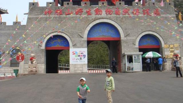 山东省有哪几个值得一玩的野生动开云体育 Kaiyun.com 官网入口物园？(图3)