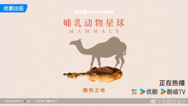 优酷“纪录片酷夏江湖挑战赛”引发暑期纪录片观看热潮开云体育 开云平台(图6)
