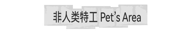 开云体育 开云官网凡几灵感地下市攻略来了限时4天叛逆开逛！(图13)