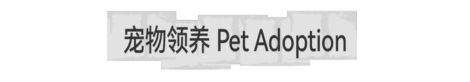 开云体育 开云官网凡几灵感地下市攻略来了限时4天叛逆开逛！(图19)