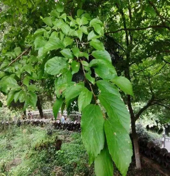 Kaiyun 开云原来你也住无锡呀！(图7)