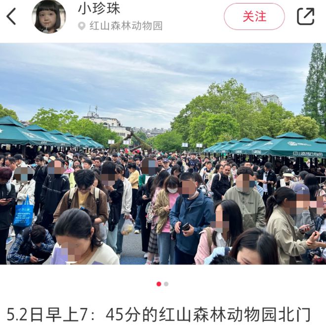 各地野生动物园火成“国产迪士尼”游客太多把动物开云体育 开云官网都喂吐了(图3)