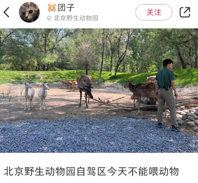 各地野生动物园火成“国产迪士尼”游客太多把动物开云体育 开云官网都喂吐了(图1)