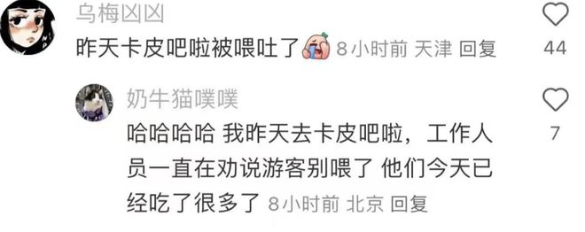 各地野生动物园火成“国产迪士尼”游客太多把动物开云体育 开云官网都喂吐了(图2)