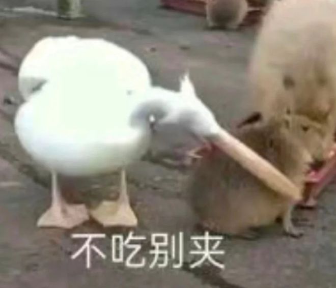 各地野生动物园火成“国产迪士尼”游客太多把动物开云体育 开云官网都喂吐了(图7)