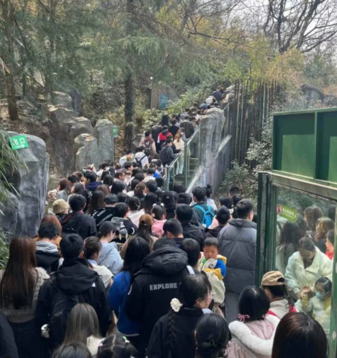 各地野生动物园火成“国产迪士尼”游客太多把动物开云体育 开云官网都喂吐了(图27)