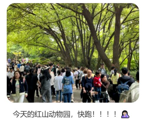 各地野生动物园火成“国产迪士尼”游客太多把动物开云体育 开云官网都喂吐了(图26)