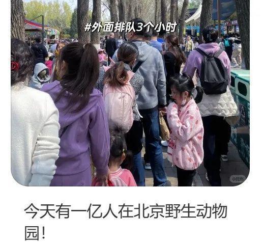 各地野生动物园火成“国产迪士尼”游客太多把动物开云体育 开云官网都喂吐了(图28)