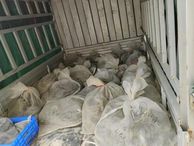 捕蛇、买卖、食用都算违法！警方提醒开云体育 Kaiyun.com 官网入口(图1)
