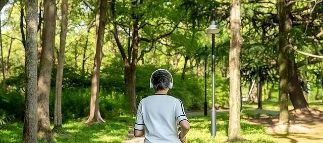 北京老太被狗绊倒导致瘫痪家属向狗主人索赔260万法院这样判开云 开云体育平台(图2)
