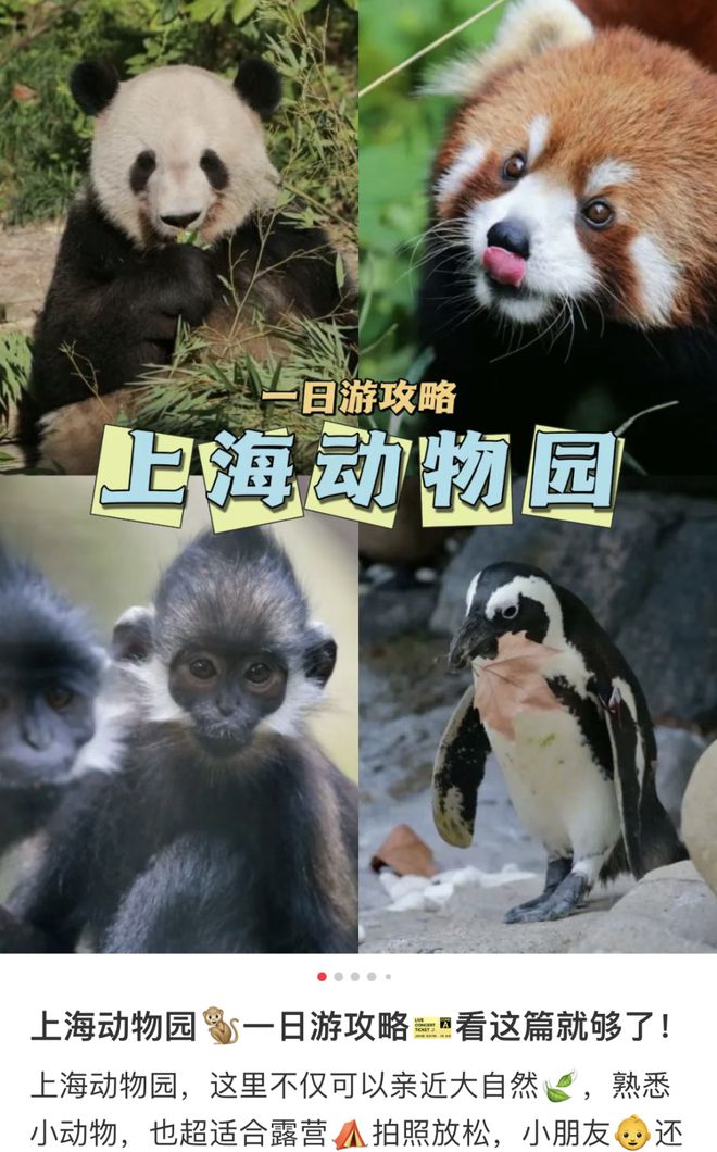 为什么这Kaiyun 开云届年轻人爱去动物园动物园到底有谁在啊？(图6)